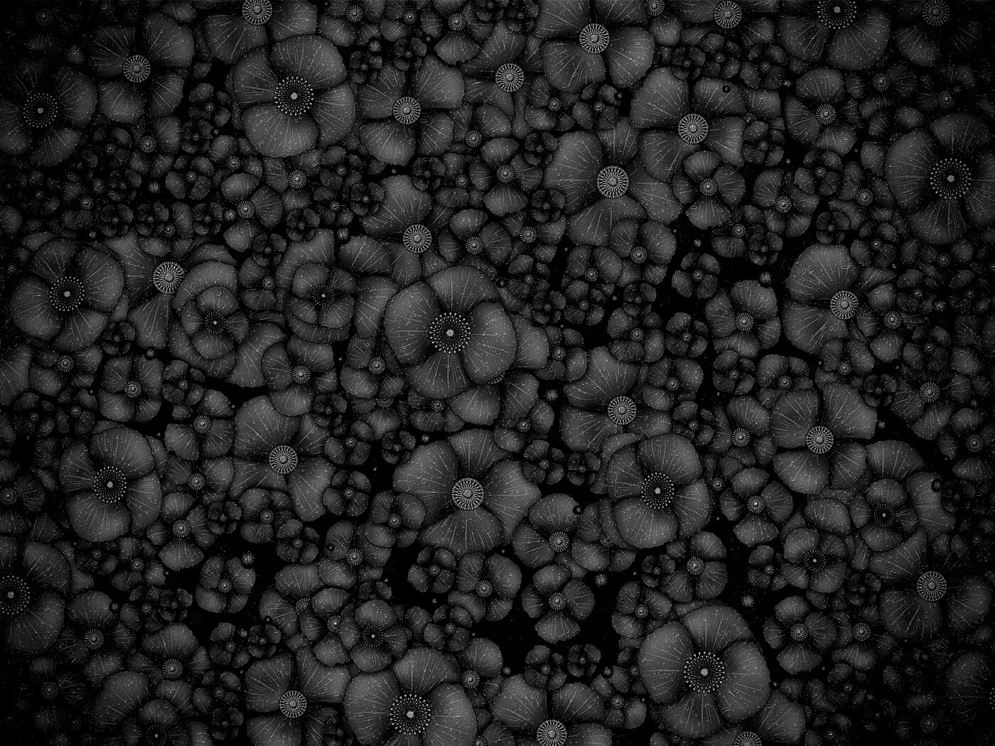 Рисунко с красными цветами обои