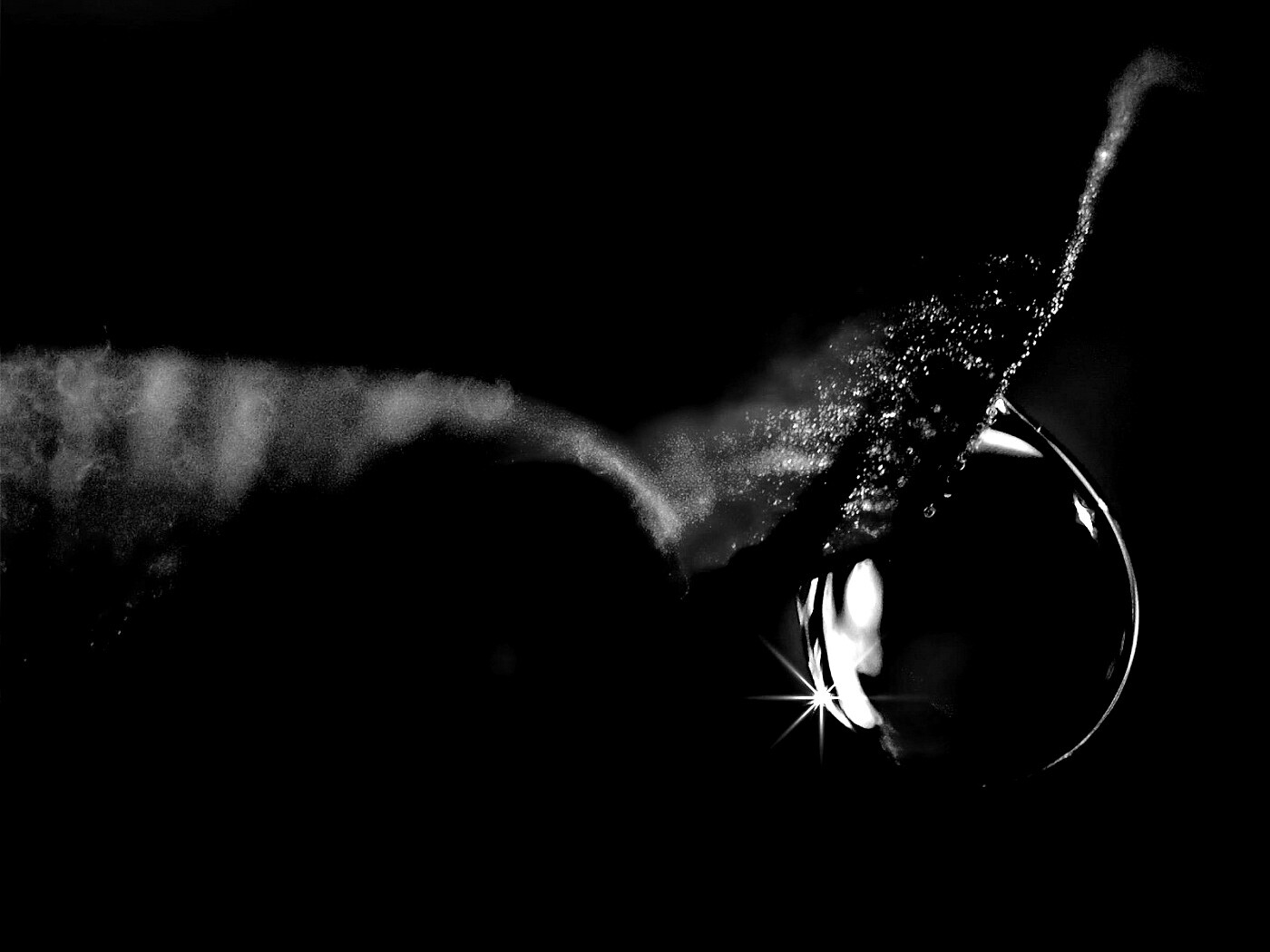 Макро капля на лепестке обои