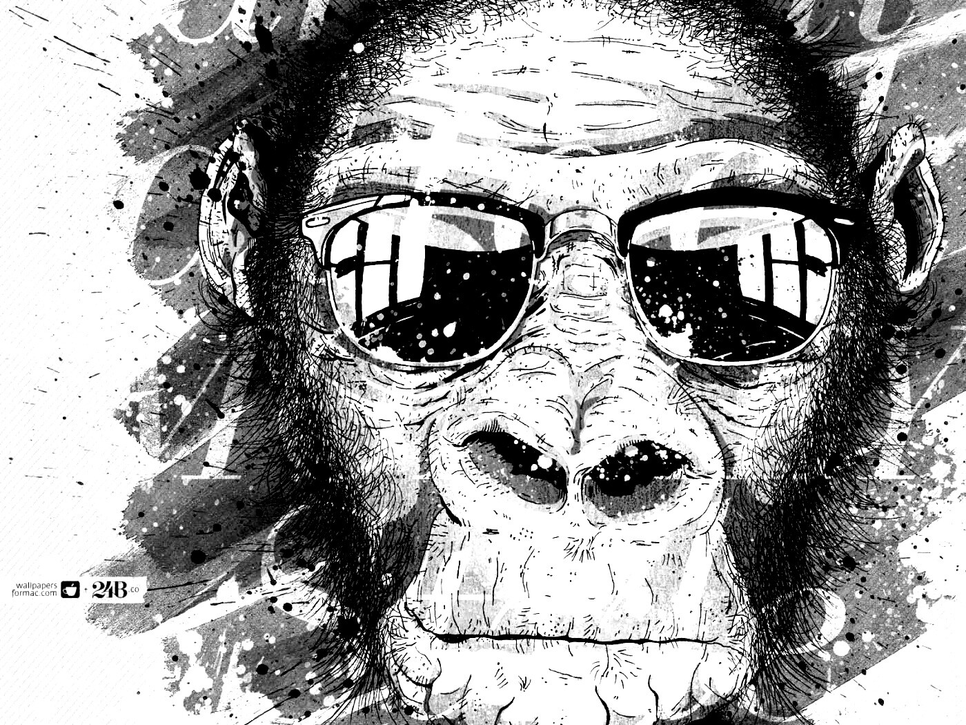 Макака в очках обои