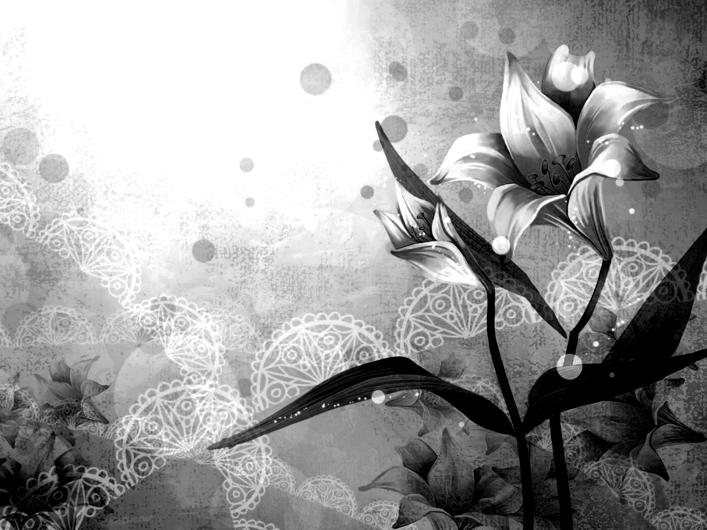 Красивое изображение лилии обои