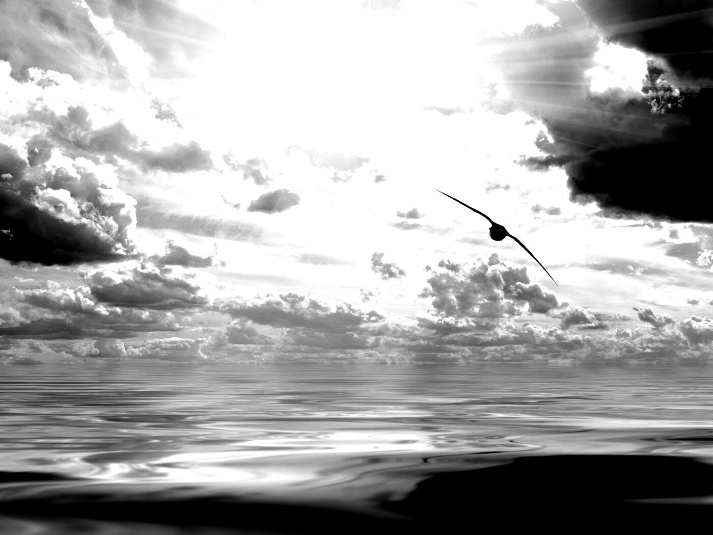 Лети как птица над волнами обои