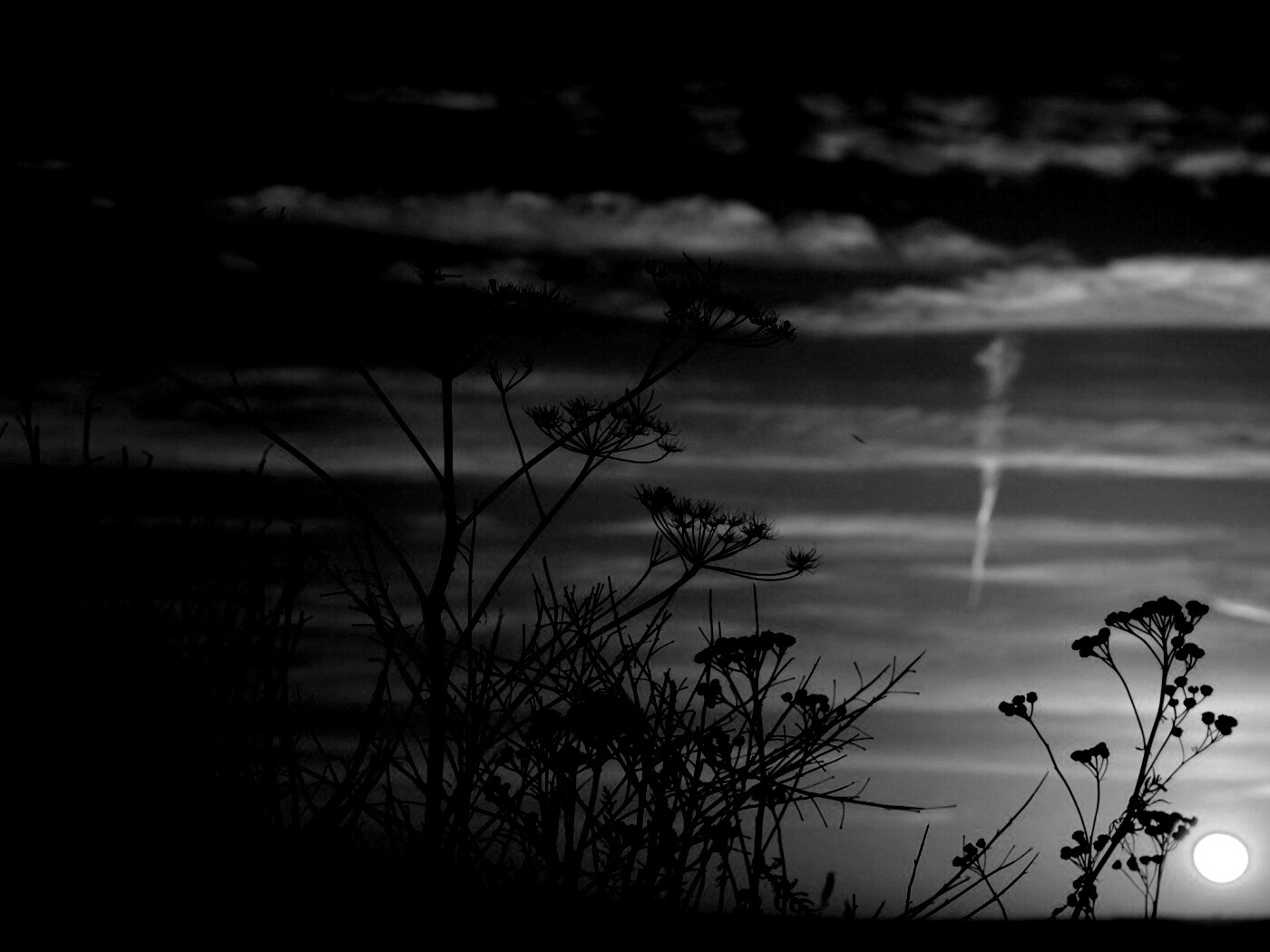 Степной закат обои