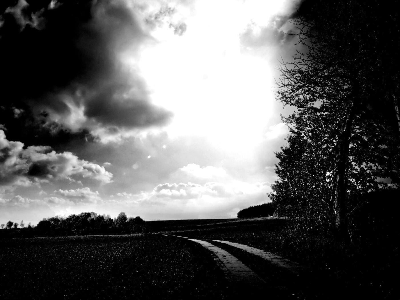 Солнечные холмы обои