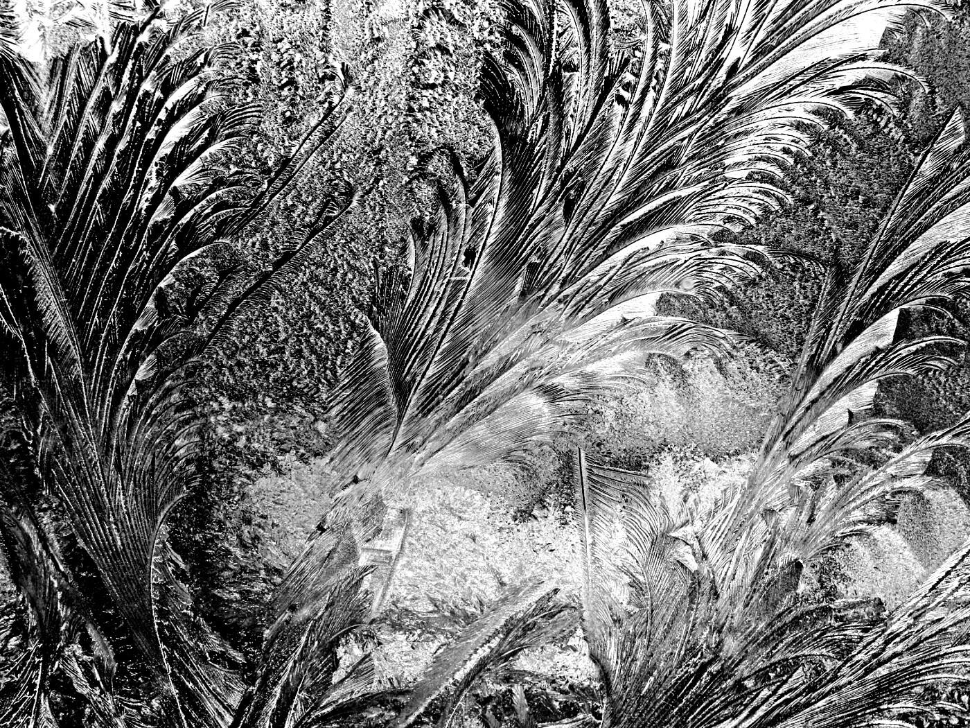 Зимние узоры обои