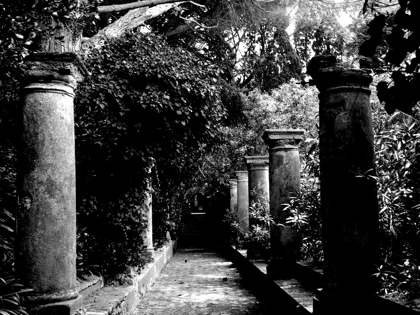 Галерея зимнего сада обои