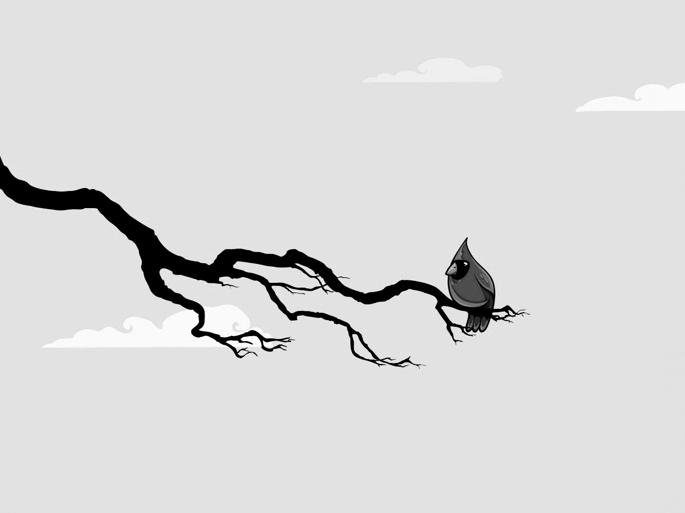 Красная птица на ветке обои