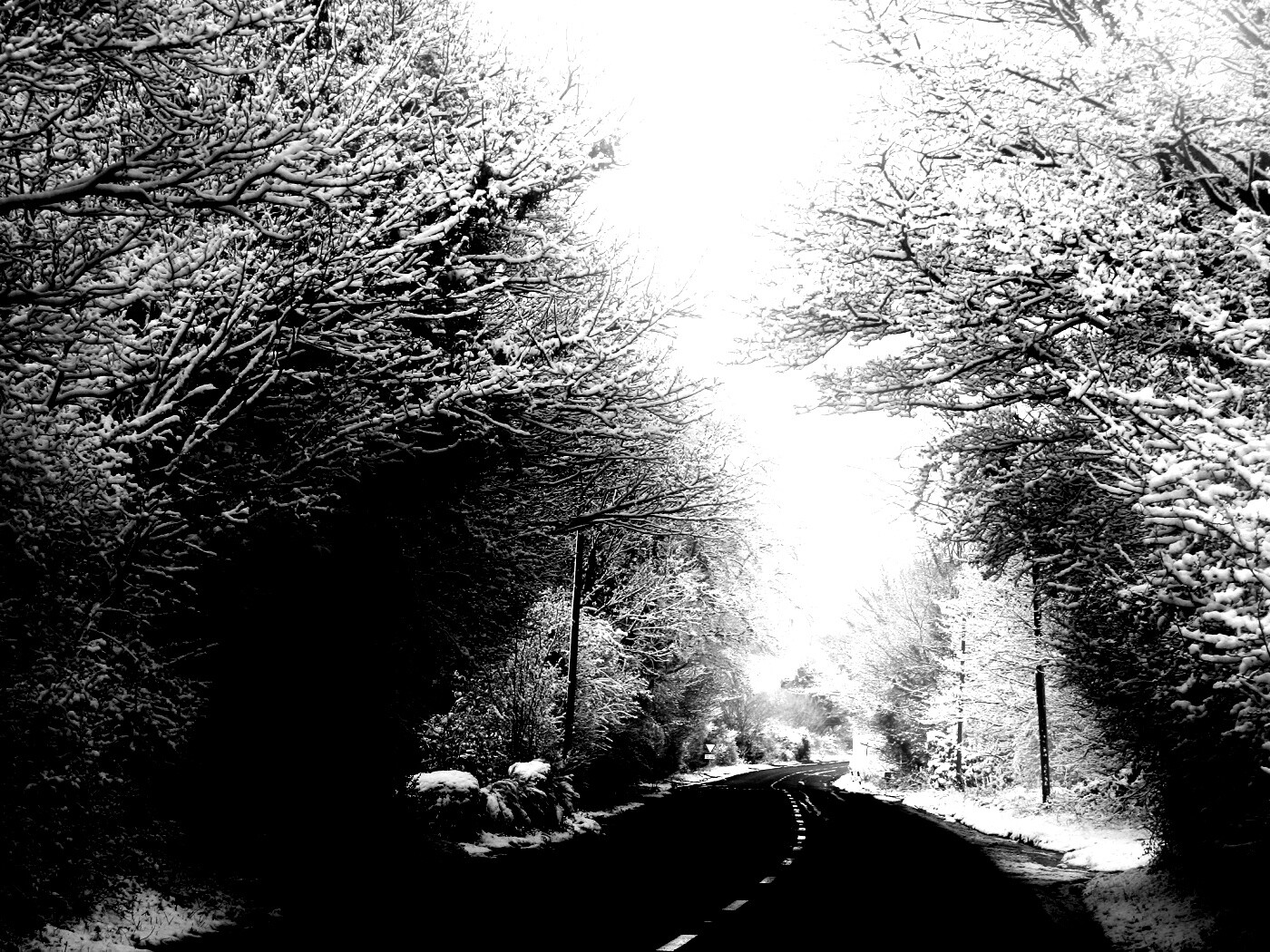 Дорога через зимний лес обои