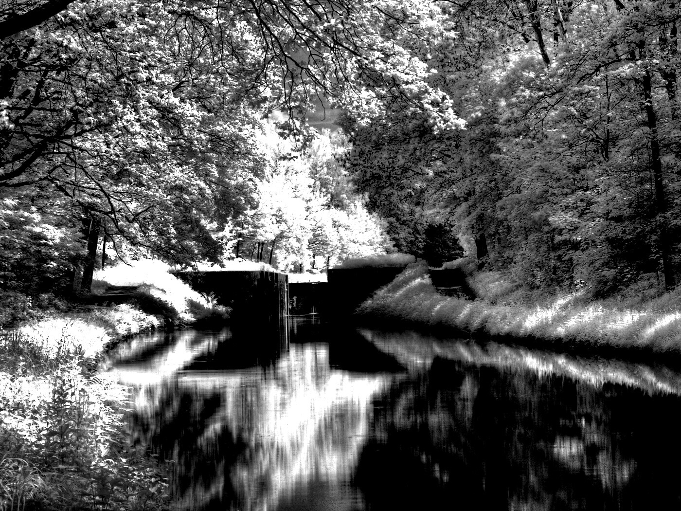 Замёрзжий канал обои