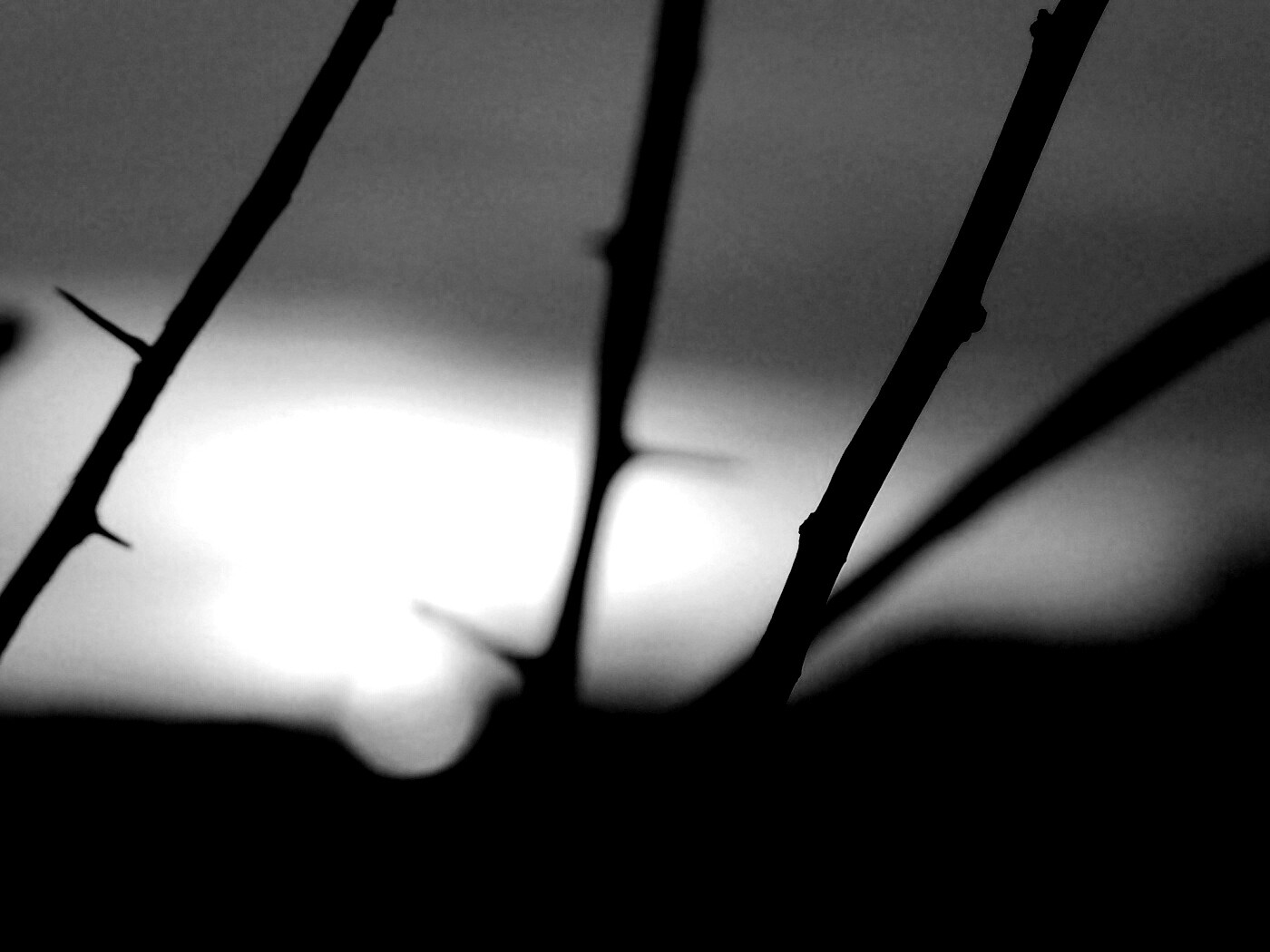 Закат солнца в поле обои