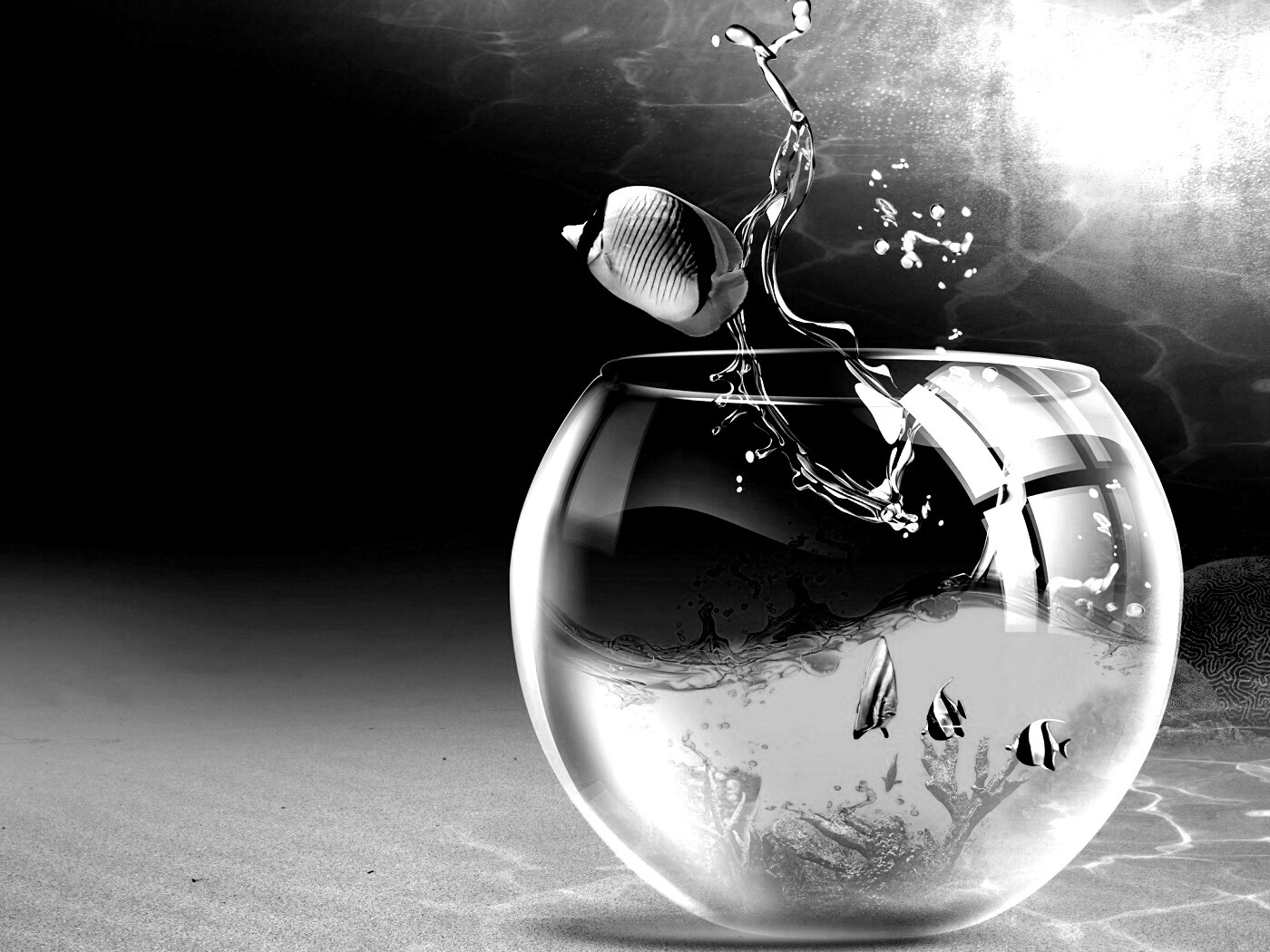 Аквариум с рыбками обои