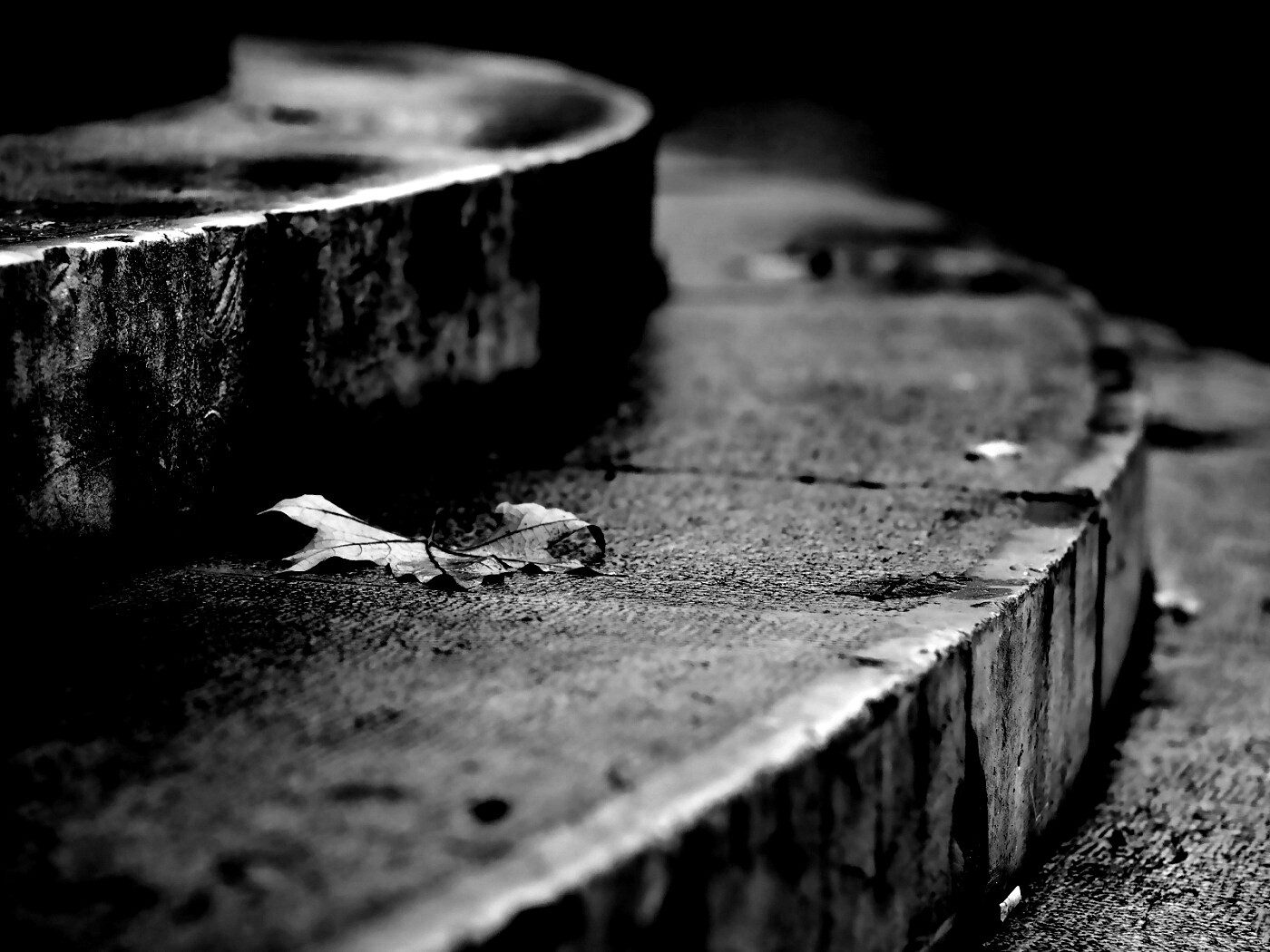 Лист на ступеньках обои