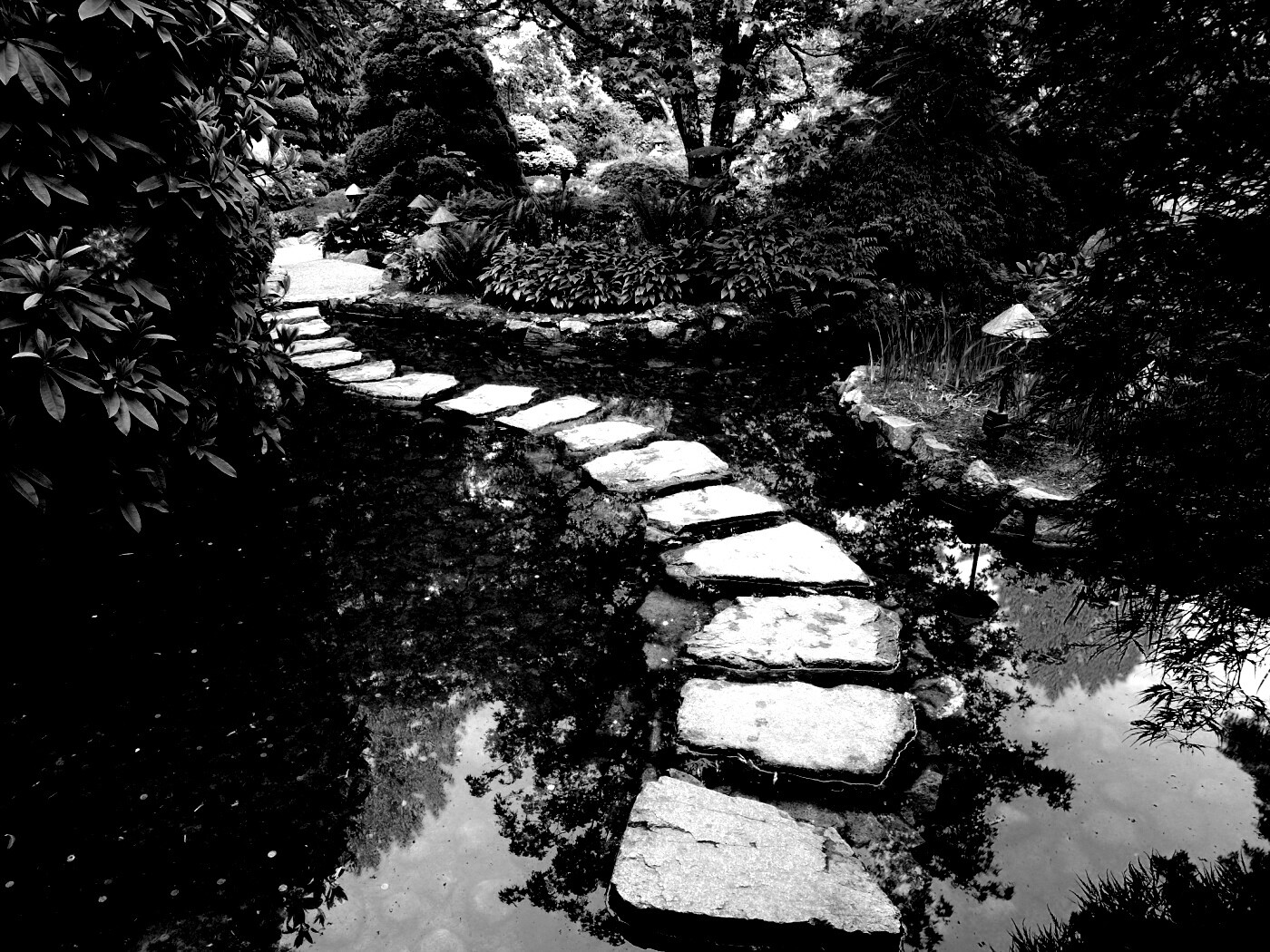 Дорожка через пруд обои