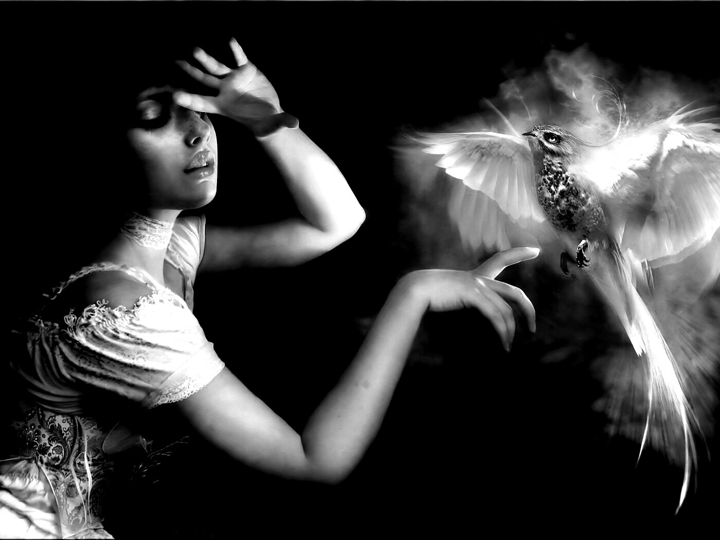 Феникс обои