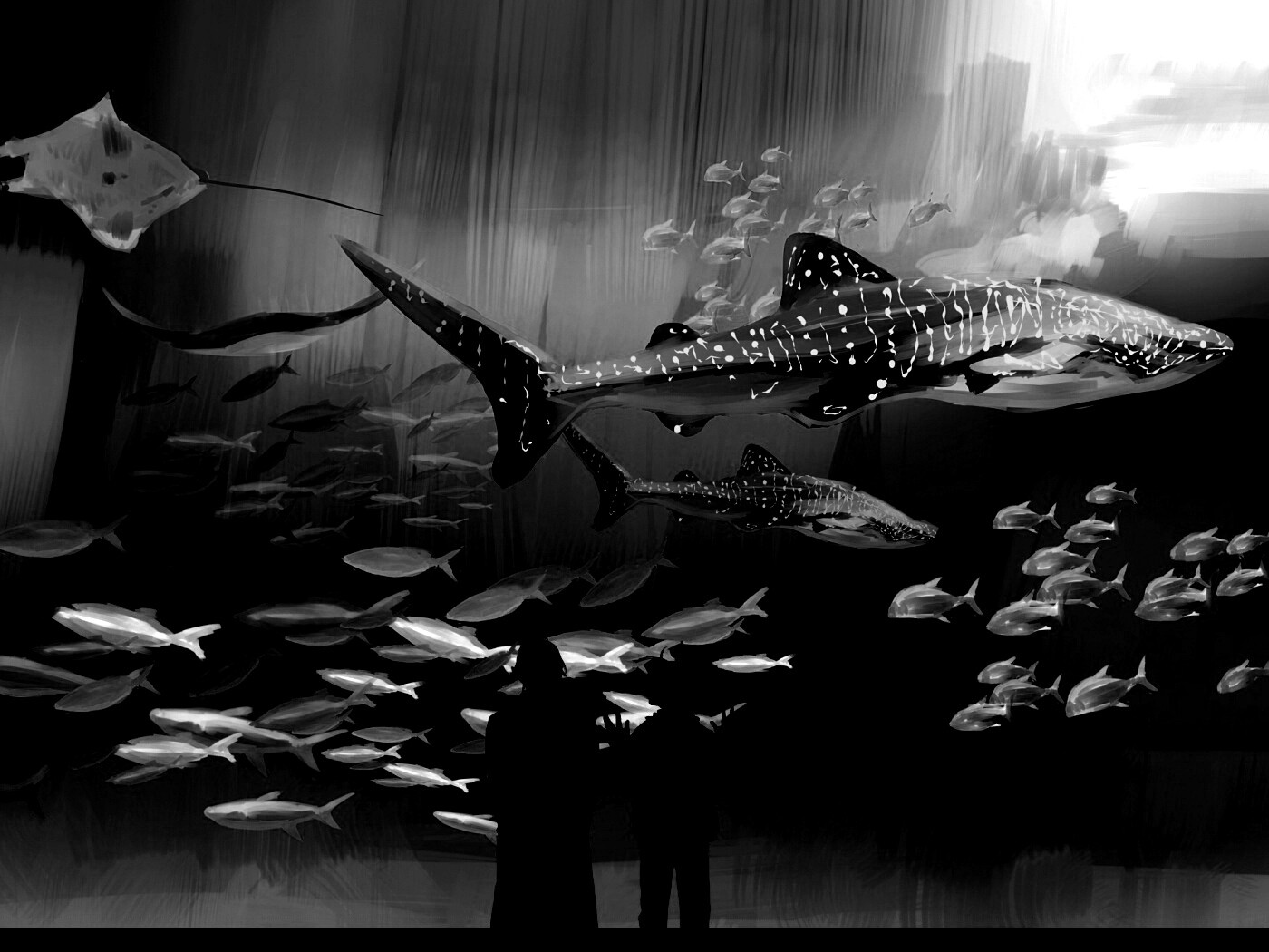 Двое в океанариуме обои