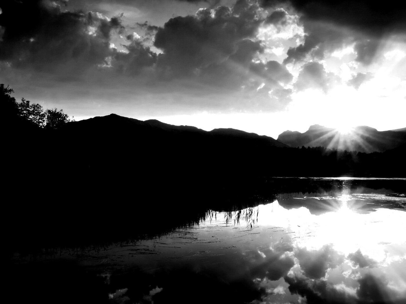 Закат за лесом обои