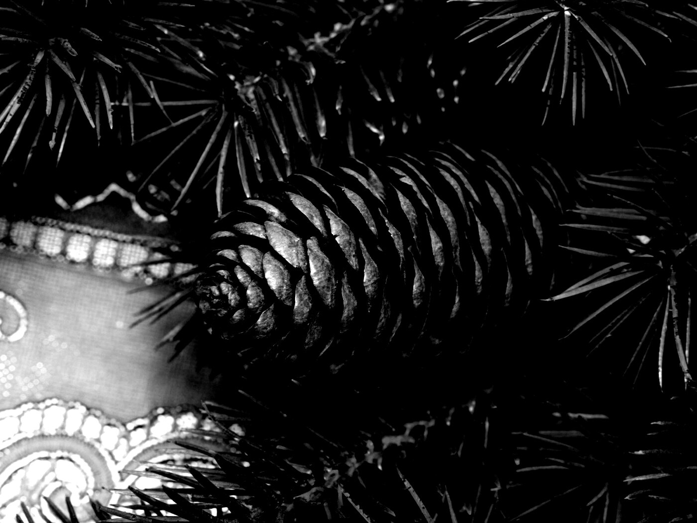 Шишка на елке обои