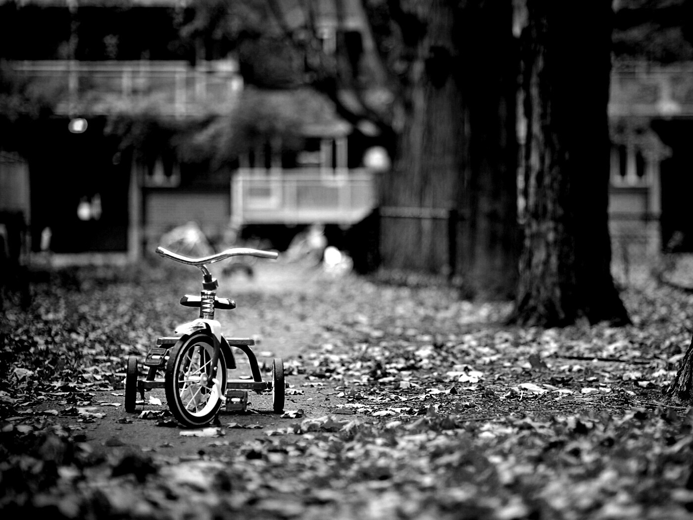 Трёхколёсный друг на осенней дорожке обои