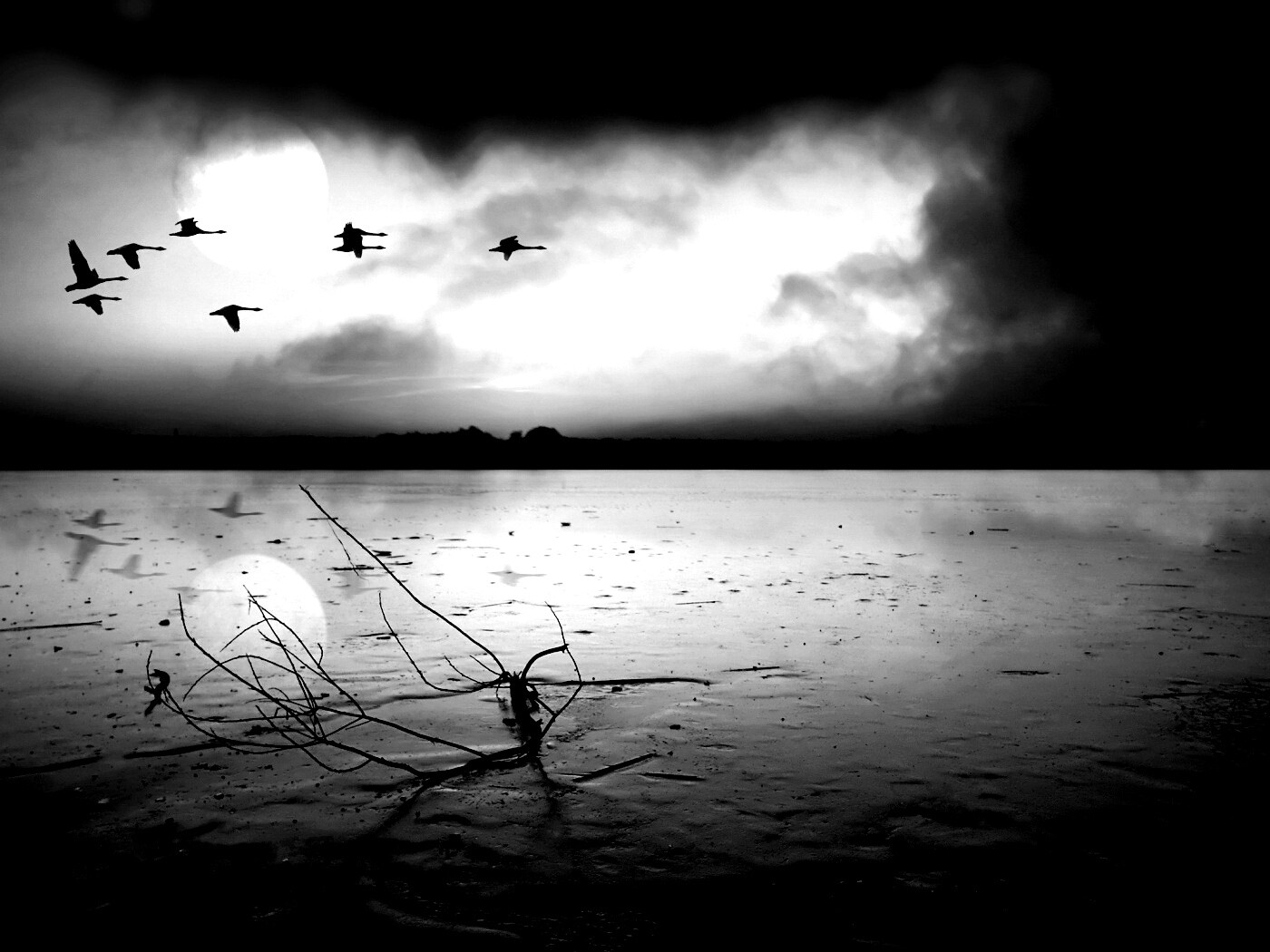 Полет птиц над озером обои