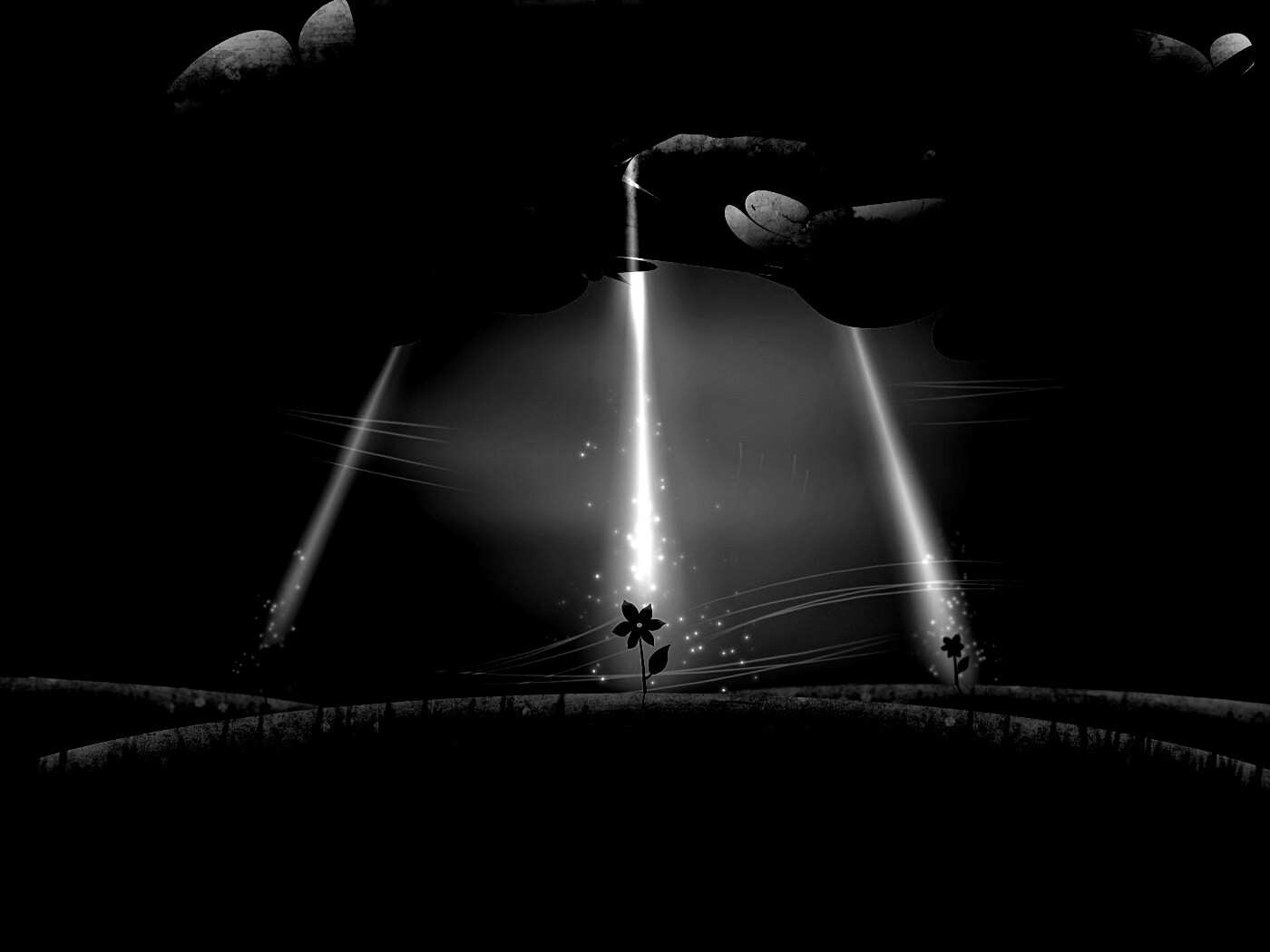 Свет для цветов обои