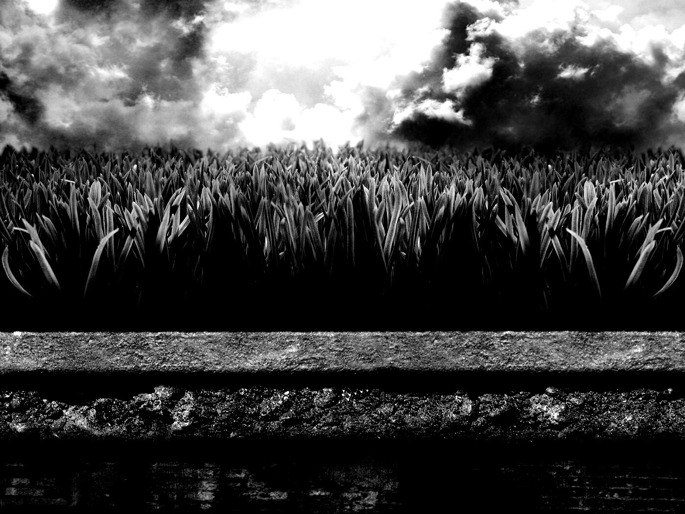 По другю сторону обои