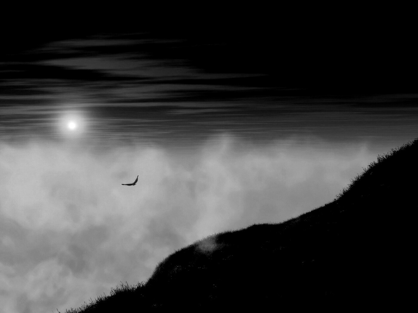 Птица парит над туманом обои