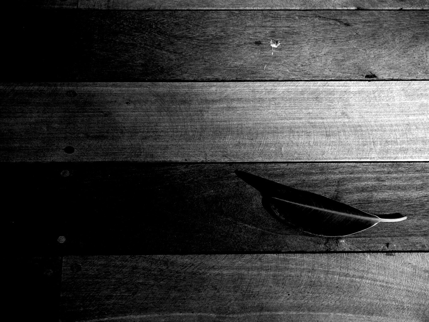 Лист на деревянном полу обои