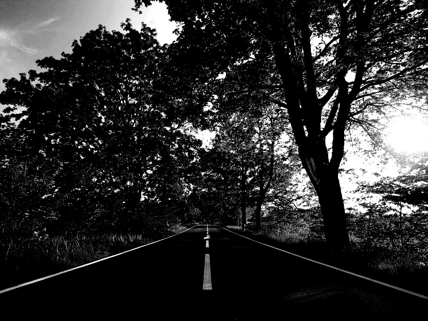 Прямая дорога обои