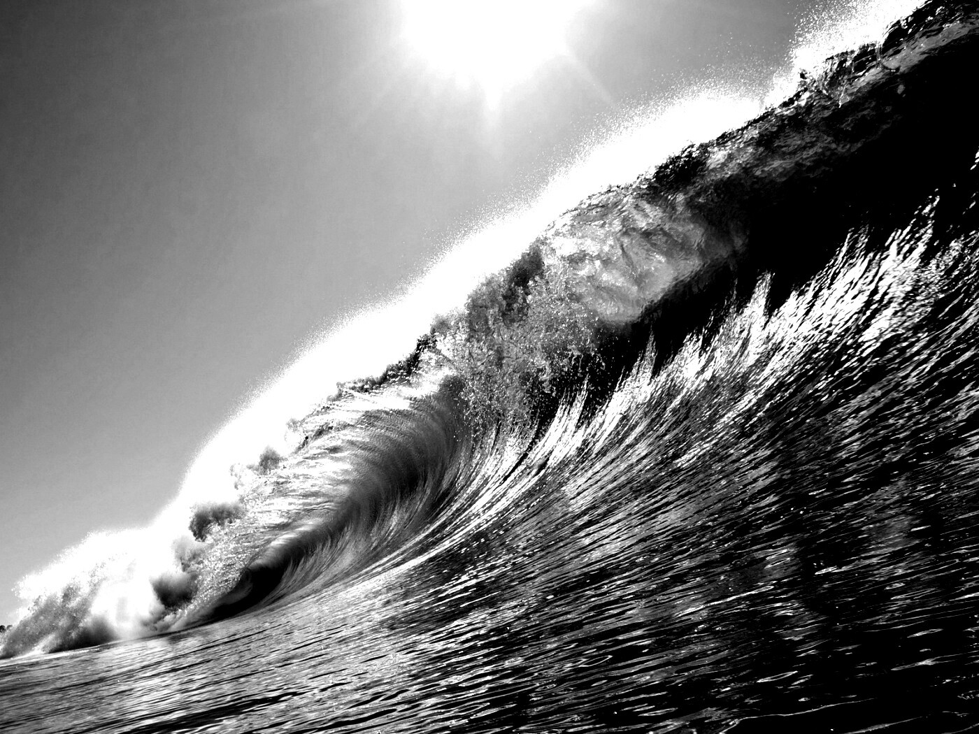 Волна — мечта серфера обои