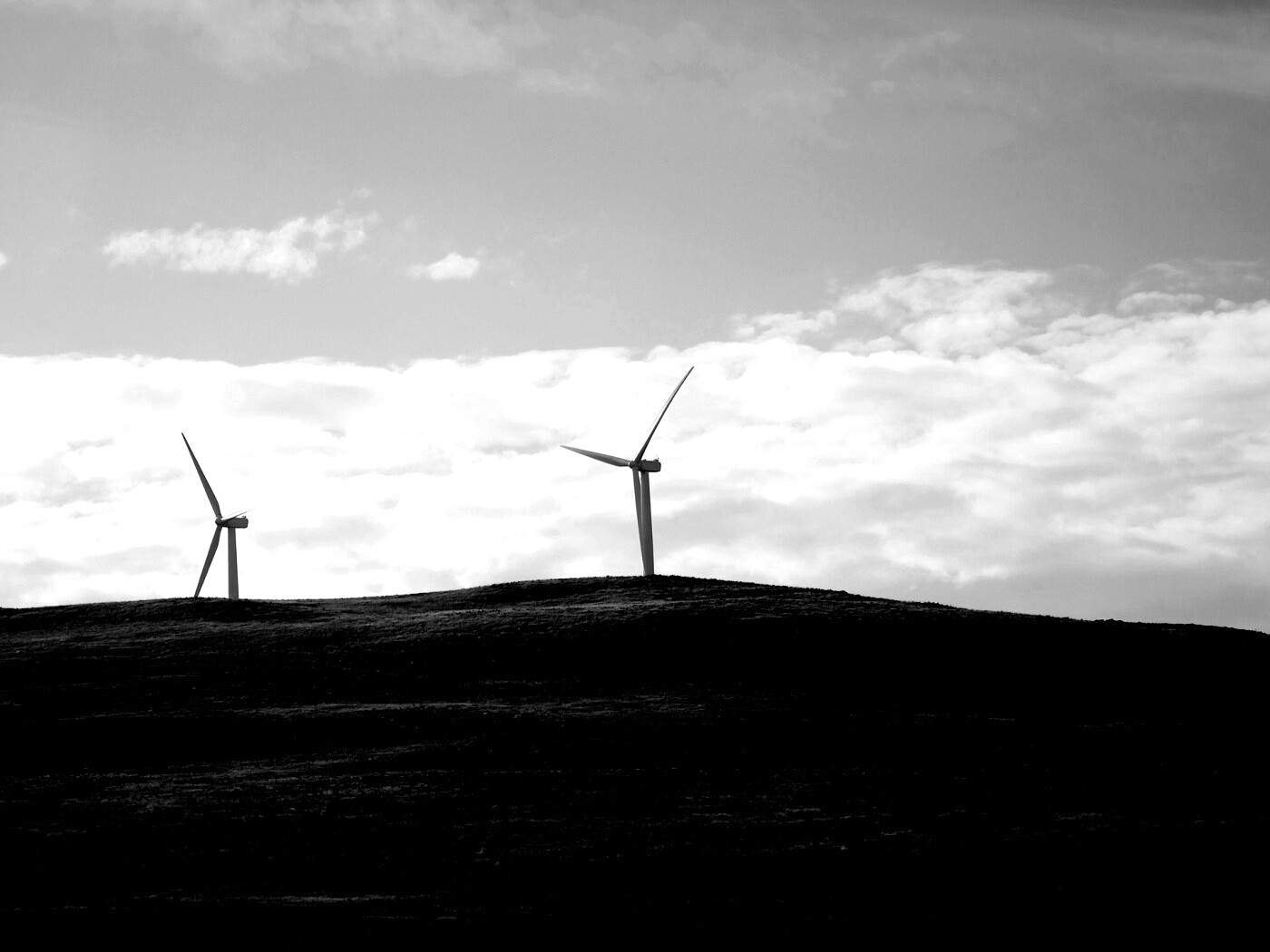 Ветряки в поле обои