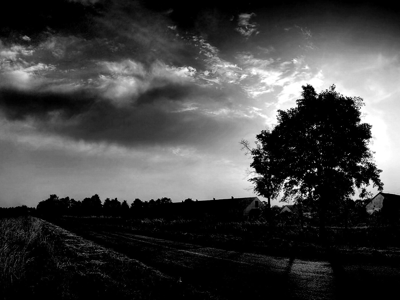 Закат на фоне дерева в HDR обои