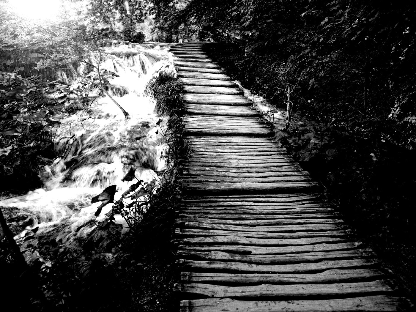 Деревянная дорожка над ручьем обои