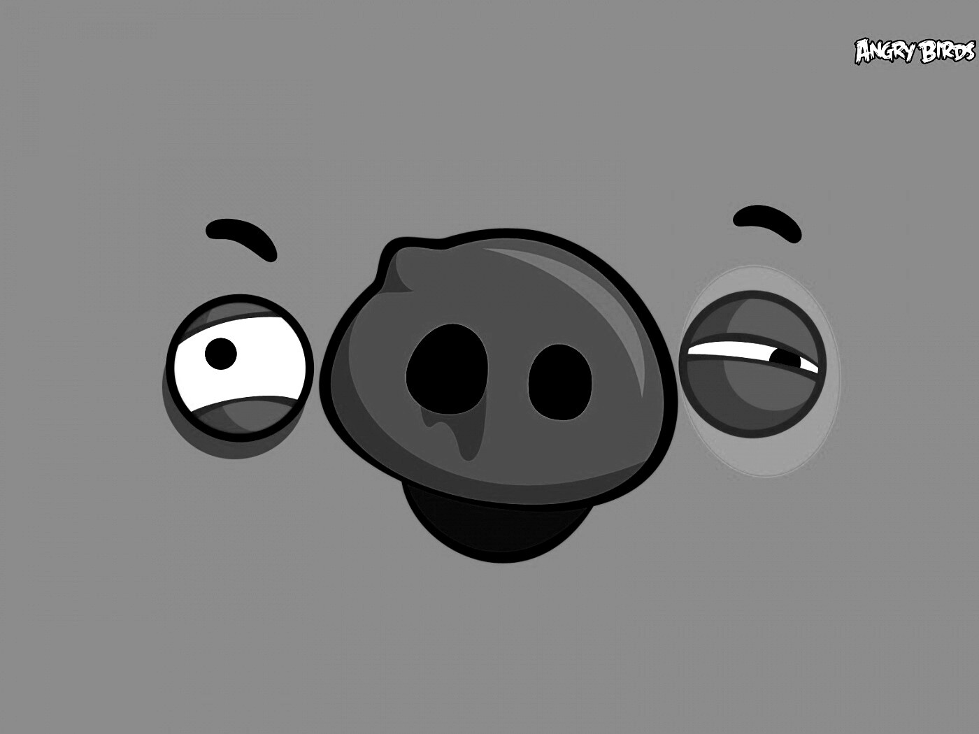 Свинья из Angry Birds обои