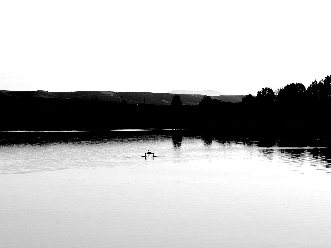 Утиное озеро обои