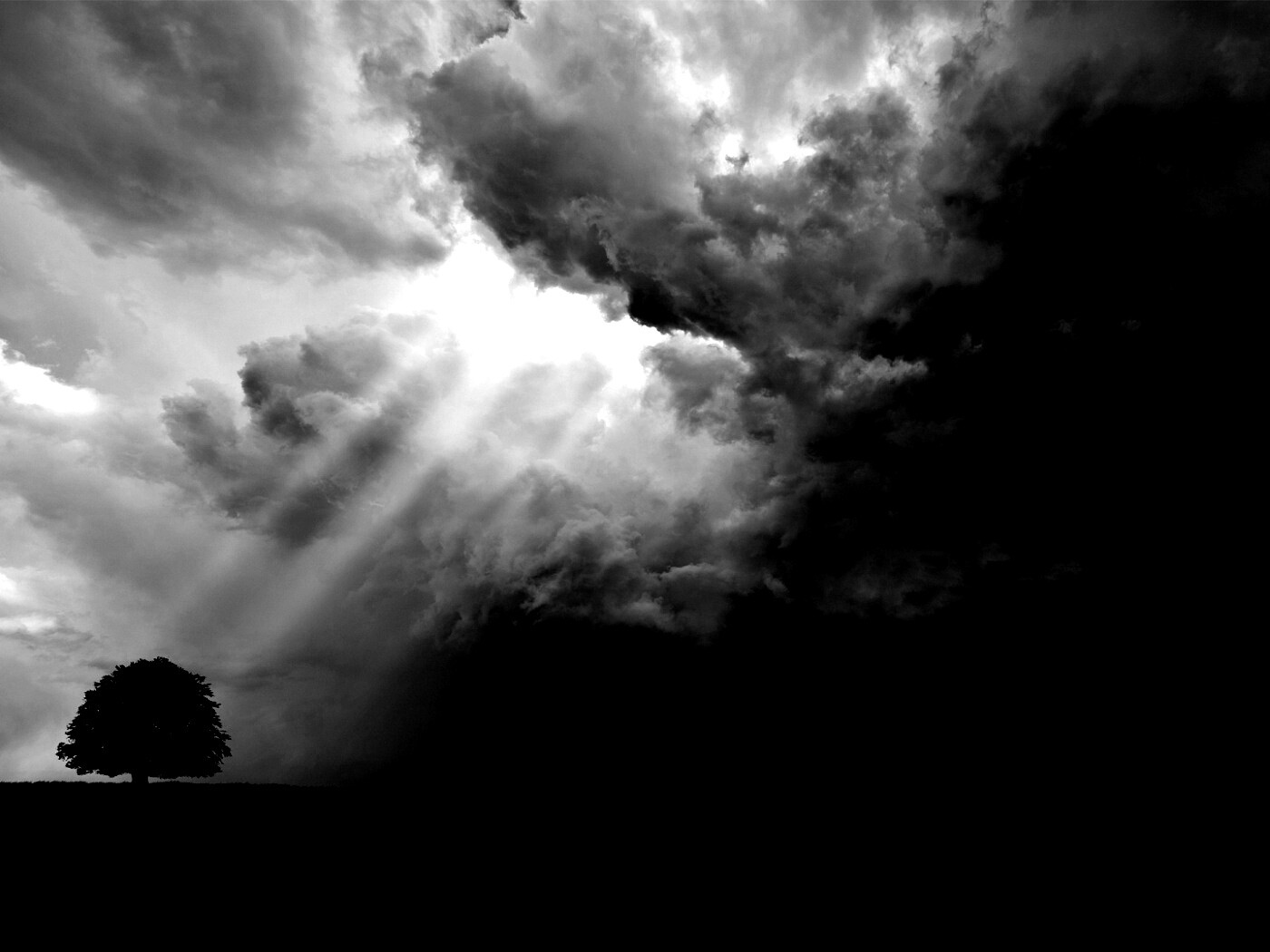 Избранный обои