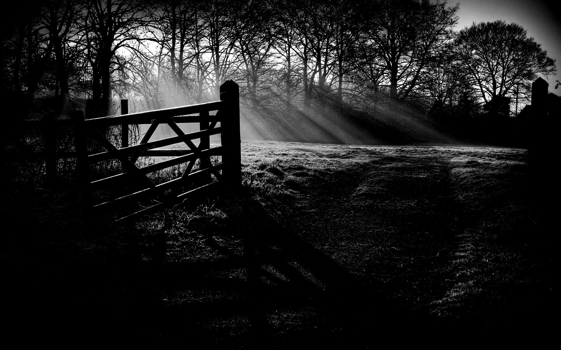 Открытые ворота обои