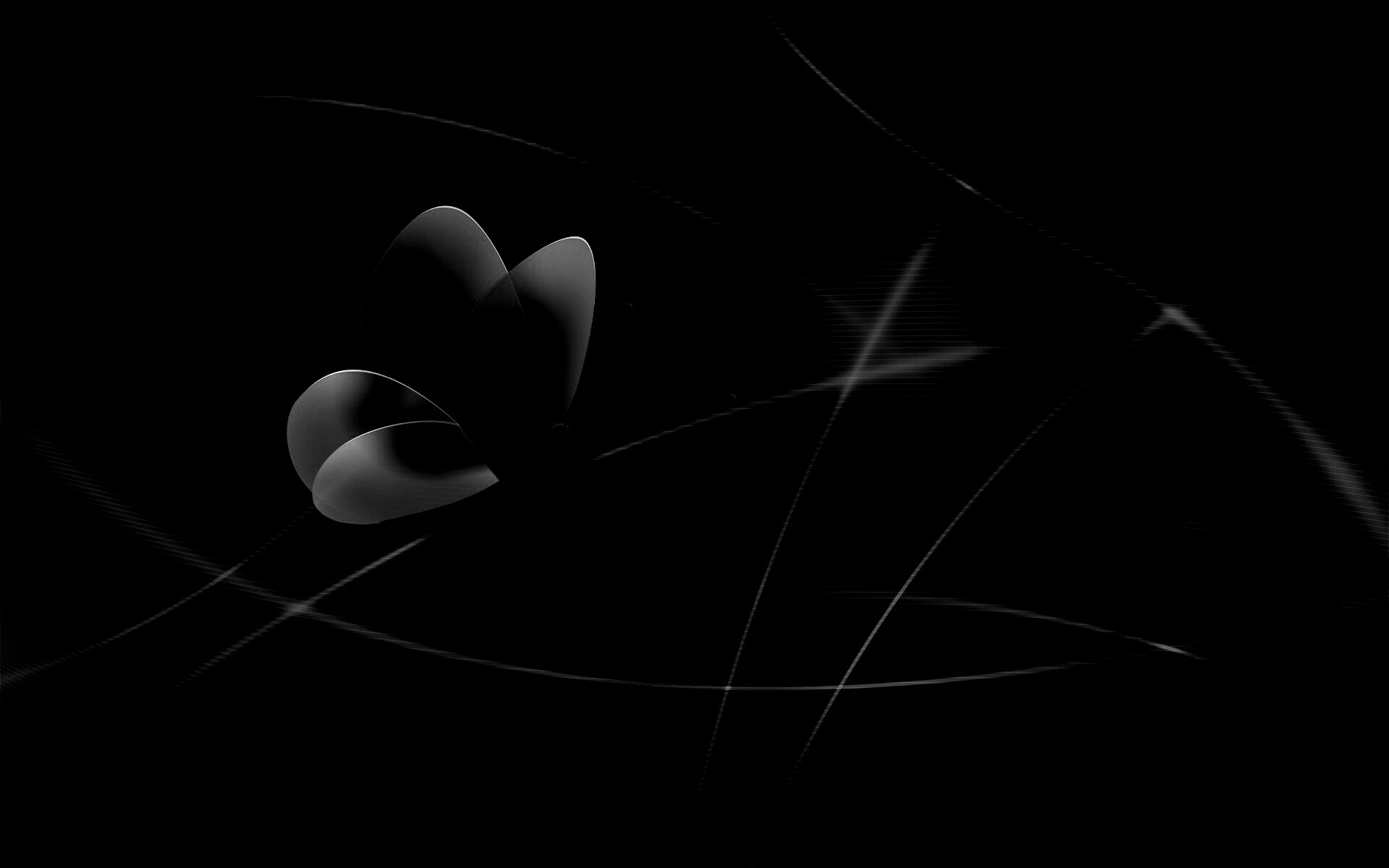 Бабочка с радужными крыльями обои