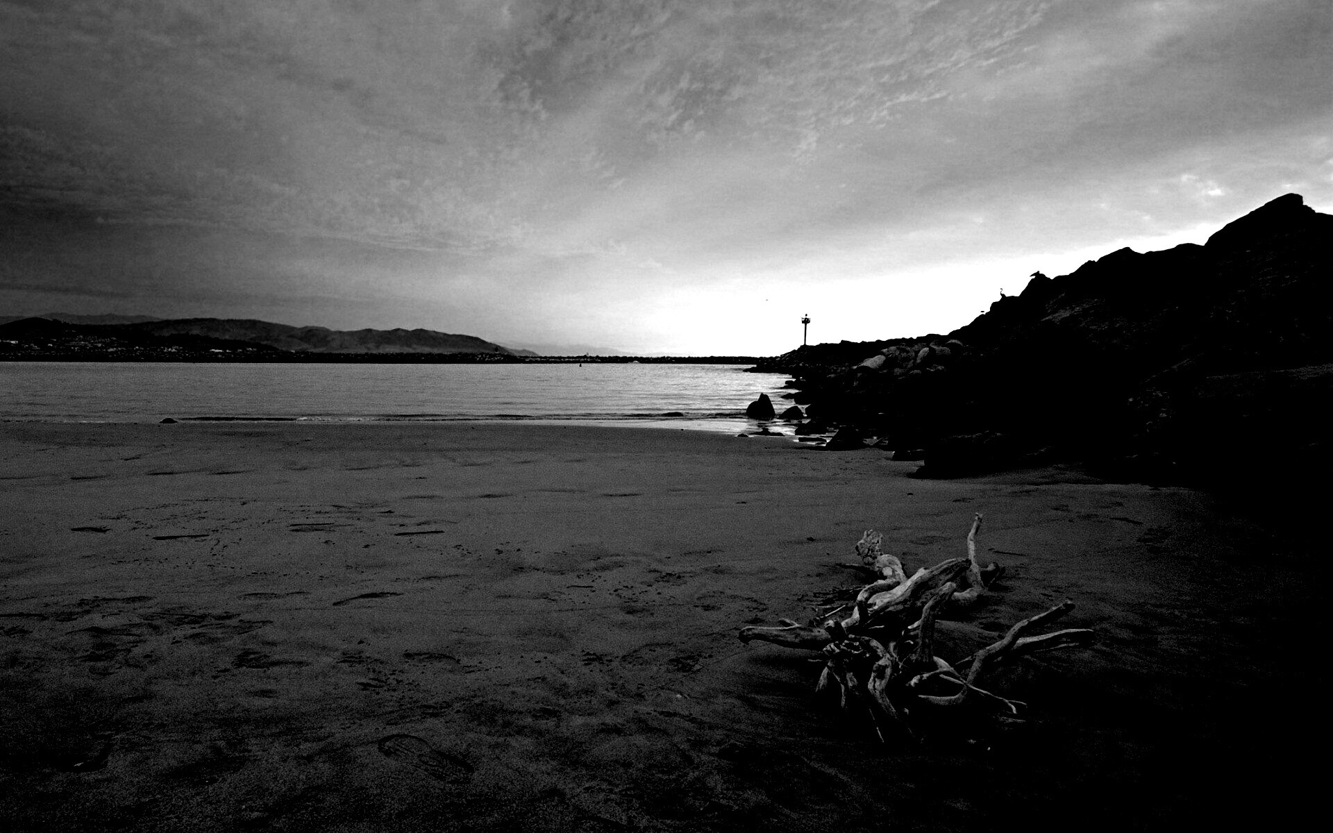 Коряга не берегу обои