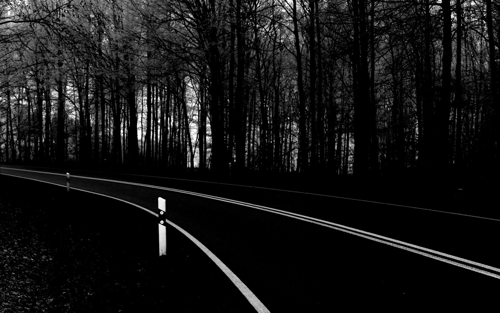 Дорога в осеннем лесу обои