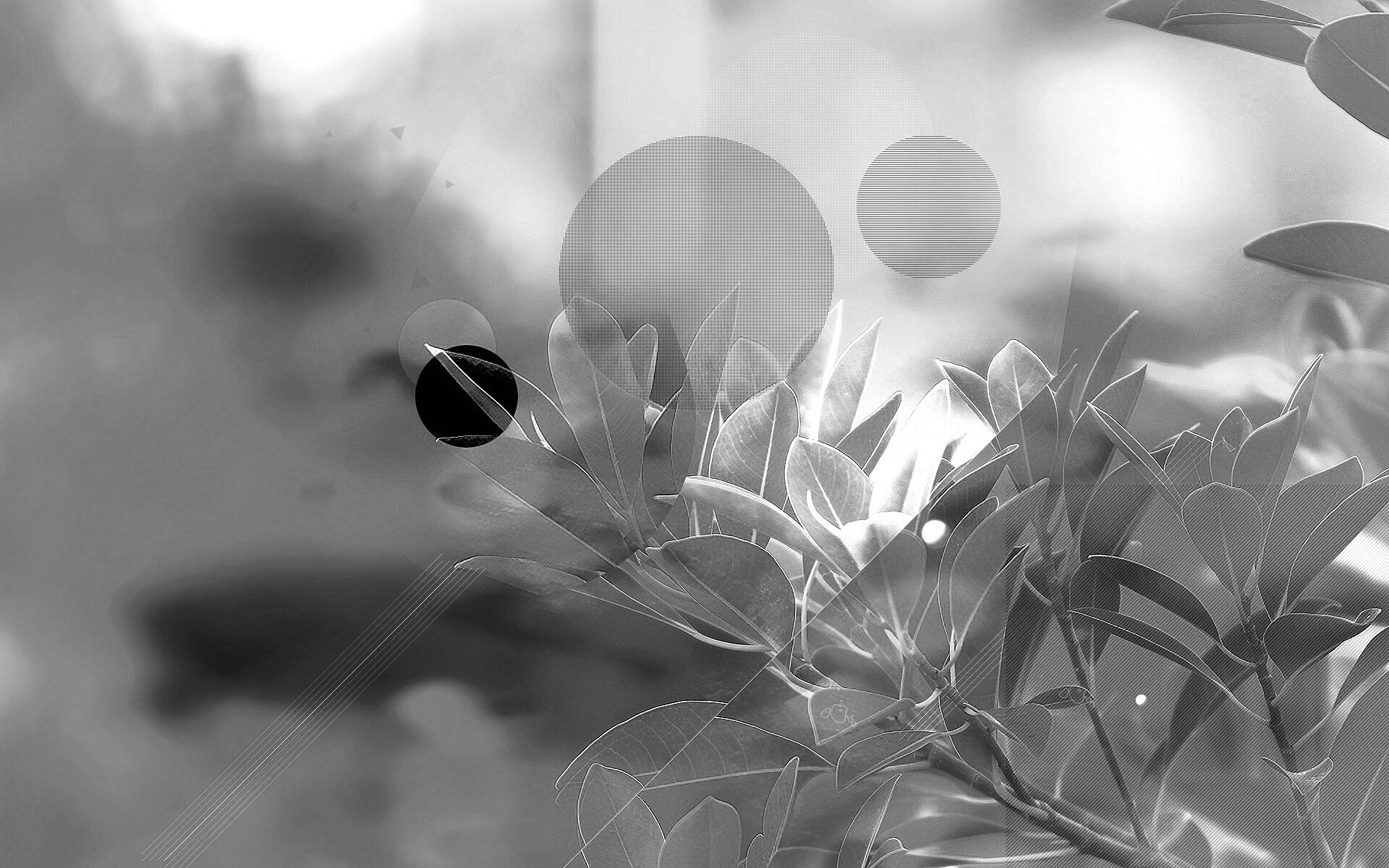 Синий фильтр с кргуами на фото листьев обои