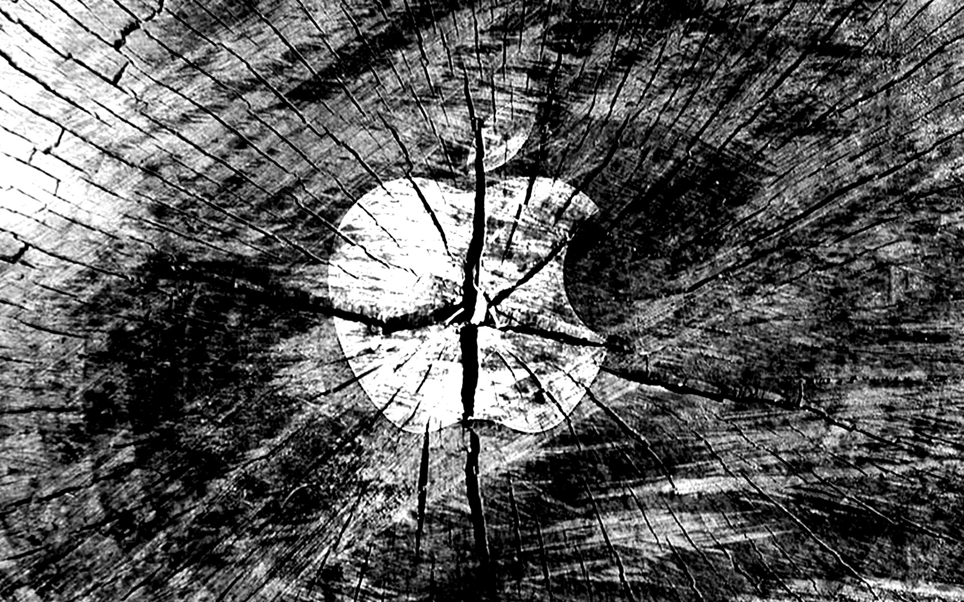 Логотип Apple на бревне обои