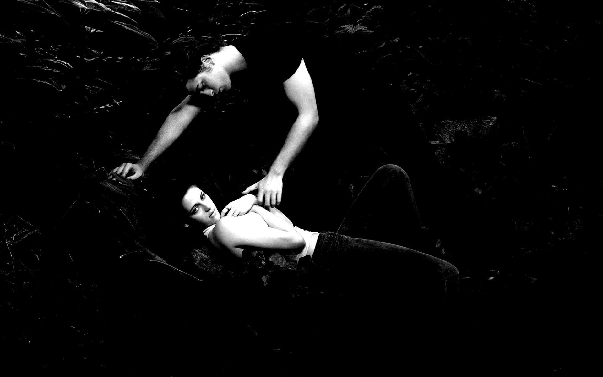 Эдвард и Белла в лесу обои