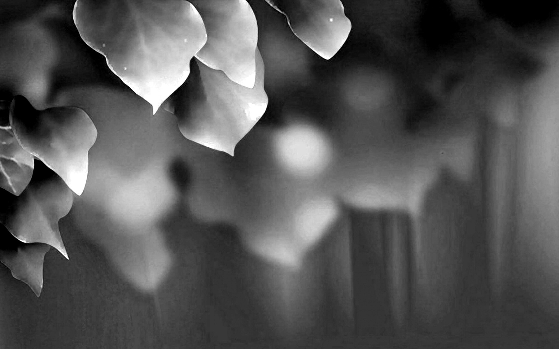 Синие листья обои