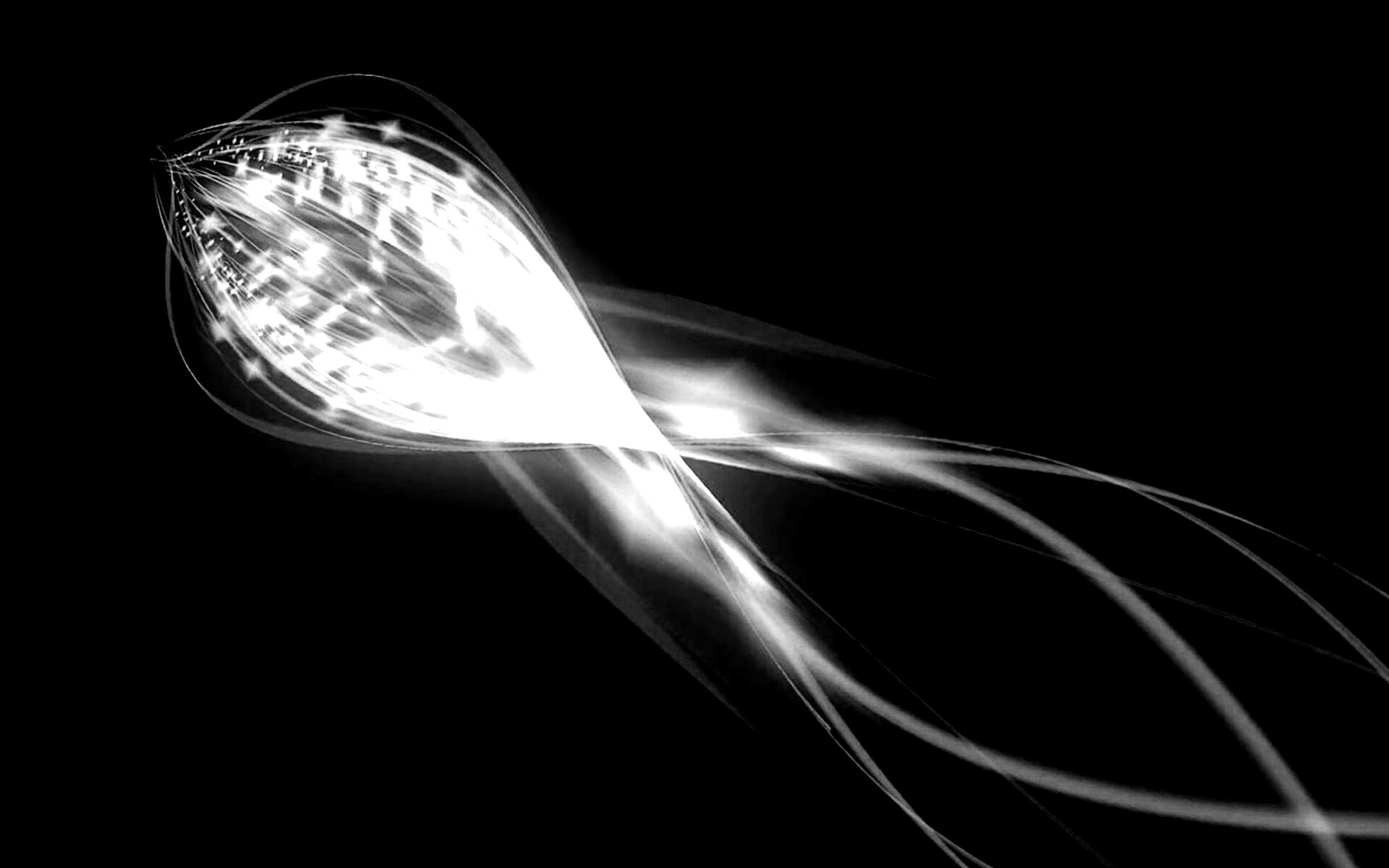 Сгусток красных линий обои