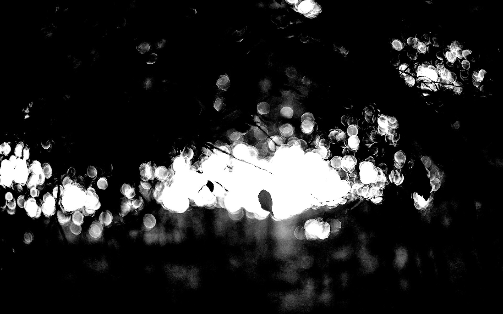 Размытый свет в парке обои