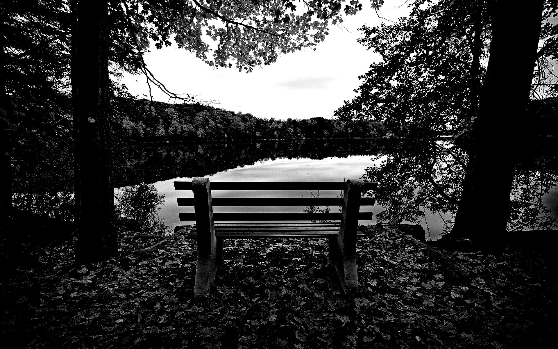 Вид на осеннее озеро обои