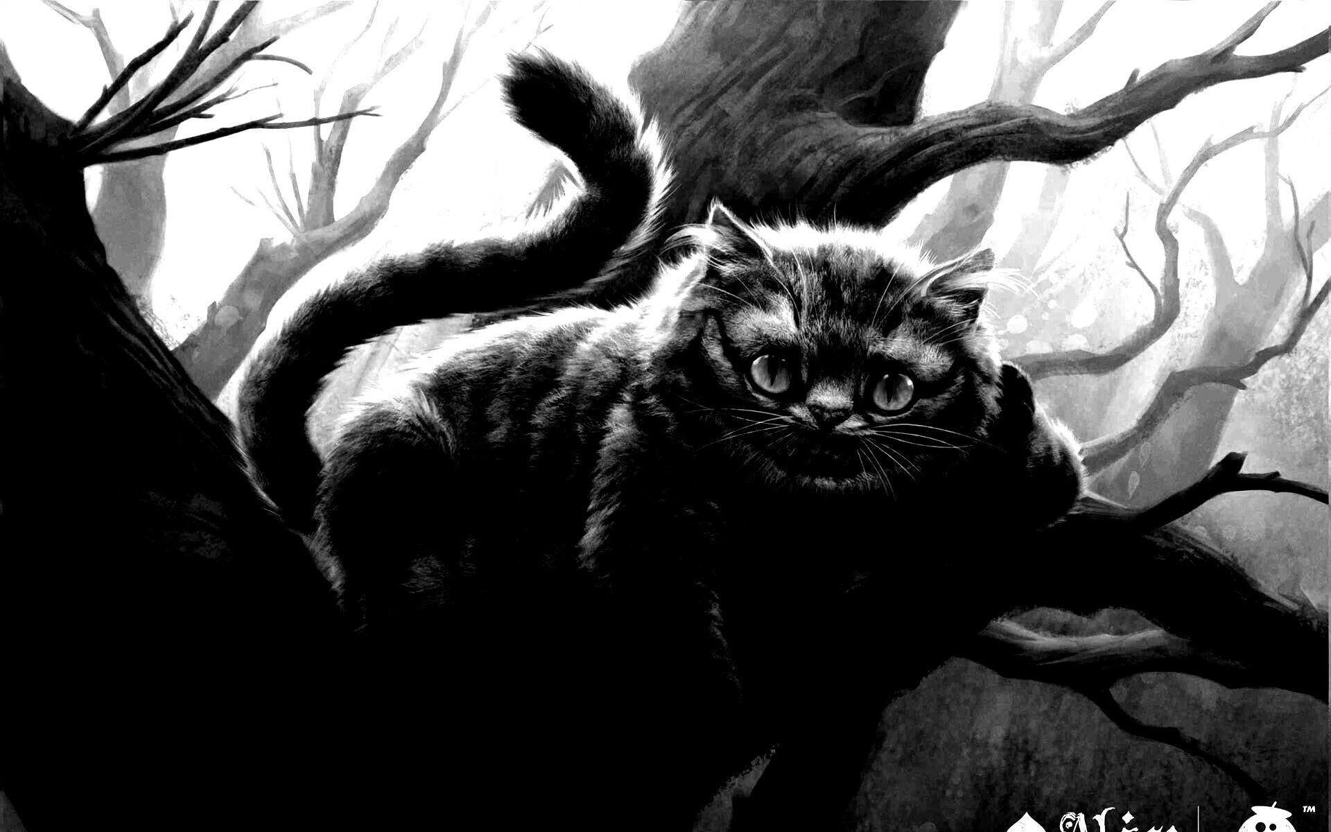 Чеширский кот обои