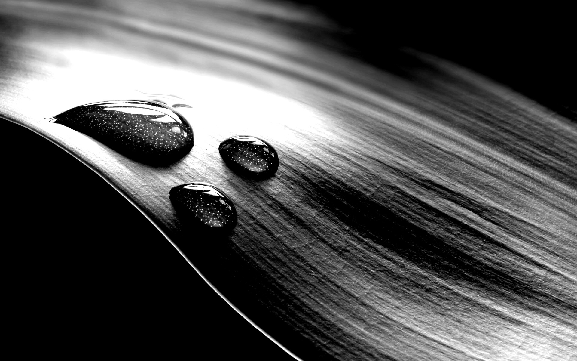 Капли на зеленом листе обои