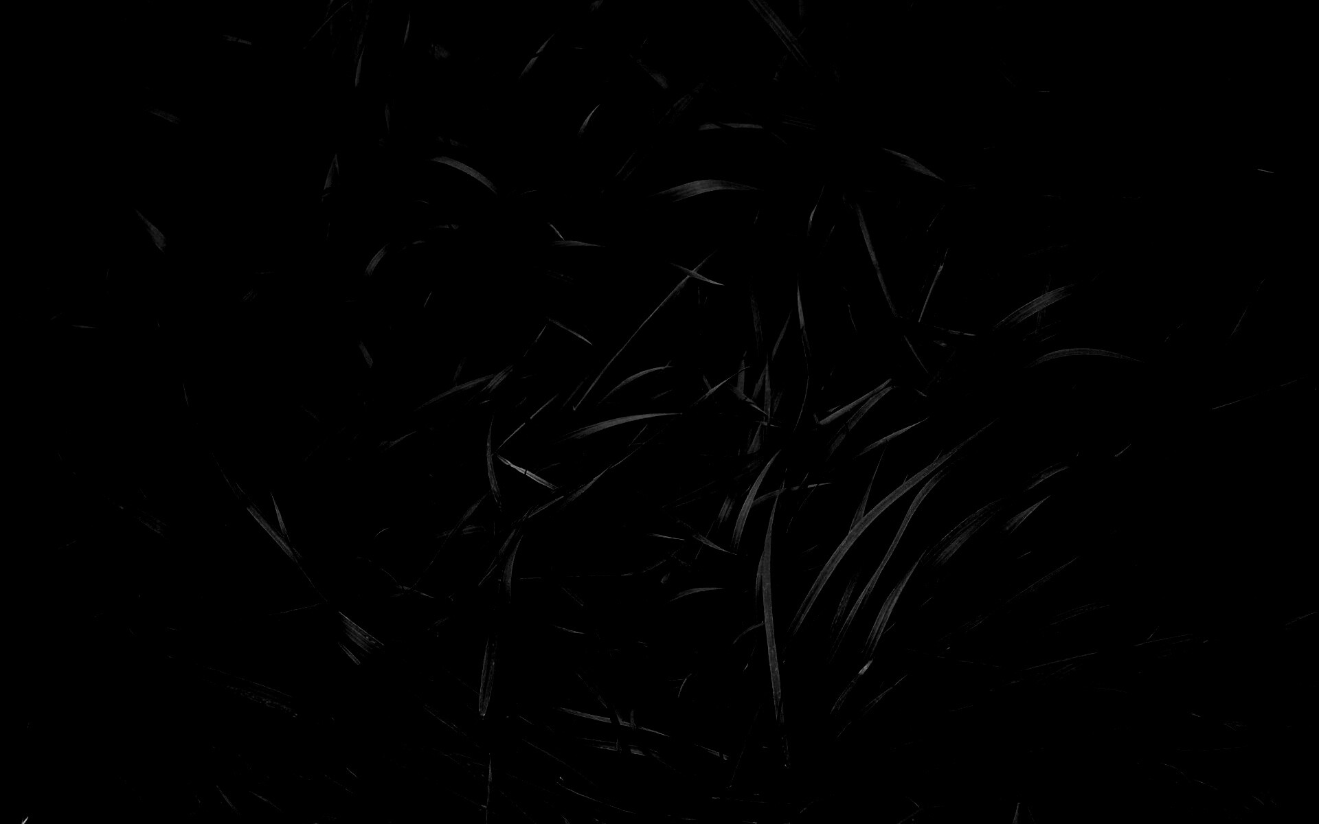 Зеленая трава обои