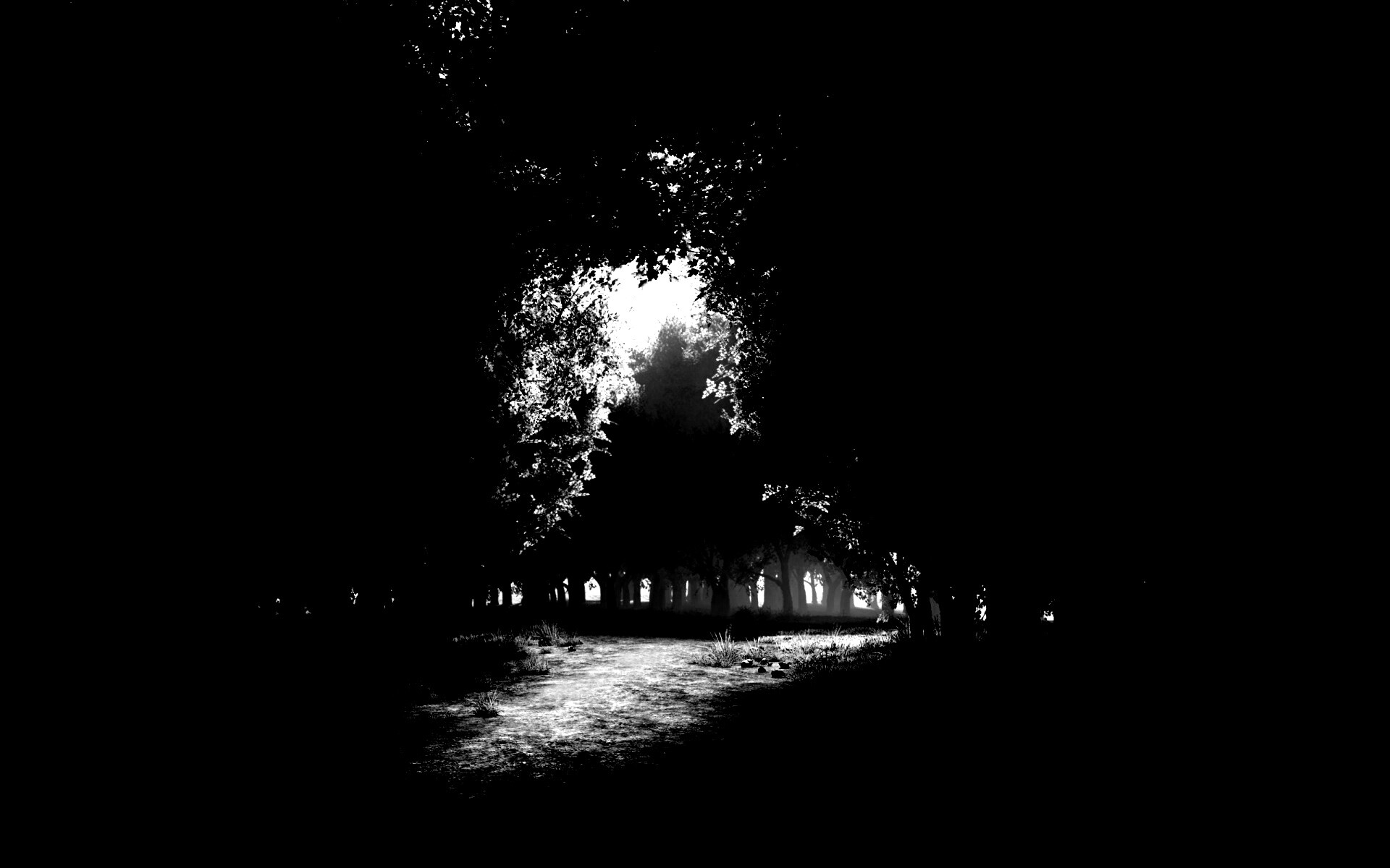 Сумерки в волшебном лесу обои