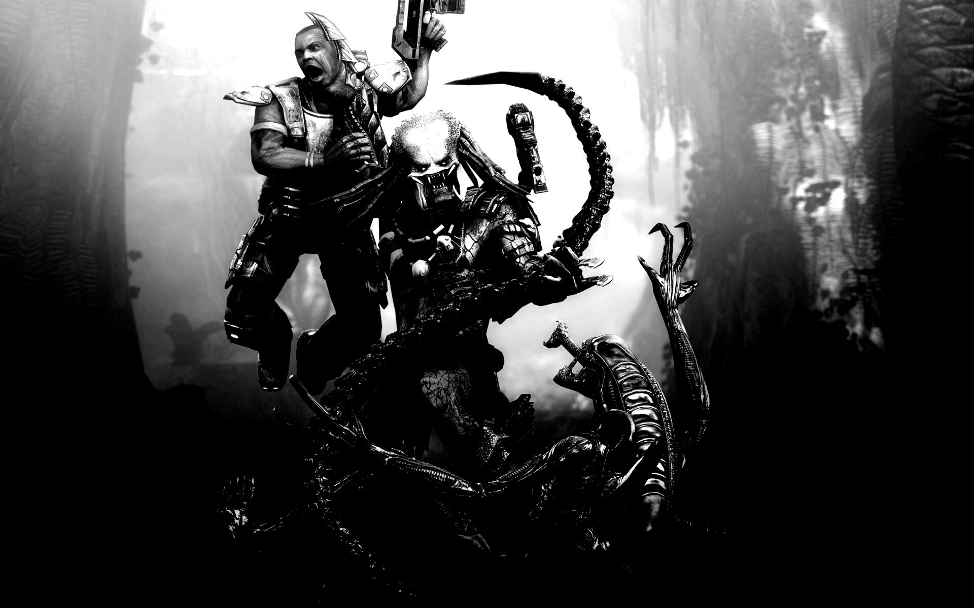 Alien vs Predator 2 обои